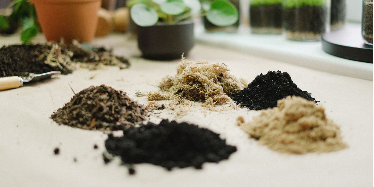 Soil Samples
